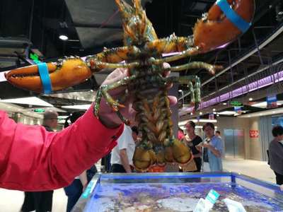 走馬觀花十里堡盒馬，新零售的水產品長啥樣？